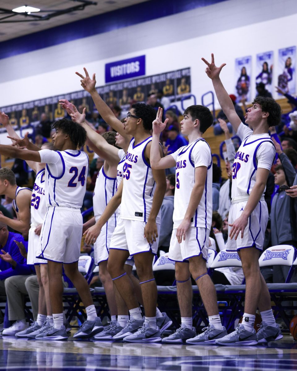 The bench celebrates a play against the Brebeuf Jesuit Braves on December 13th, 2024.