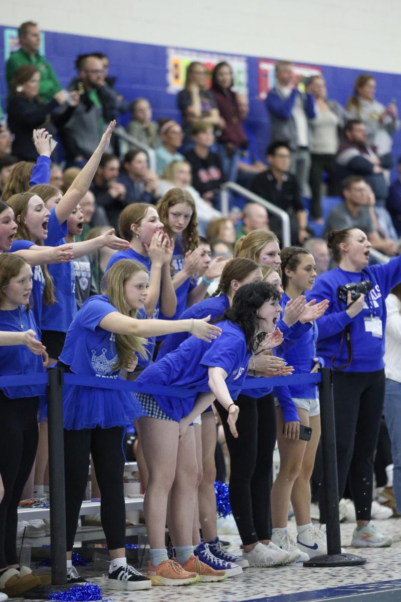 On Feb. 22 the Boys Swimming and Diving team compete at their final Sectional meet moving onto state prelims on Feb 28.