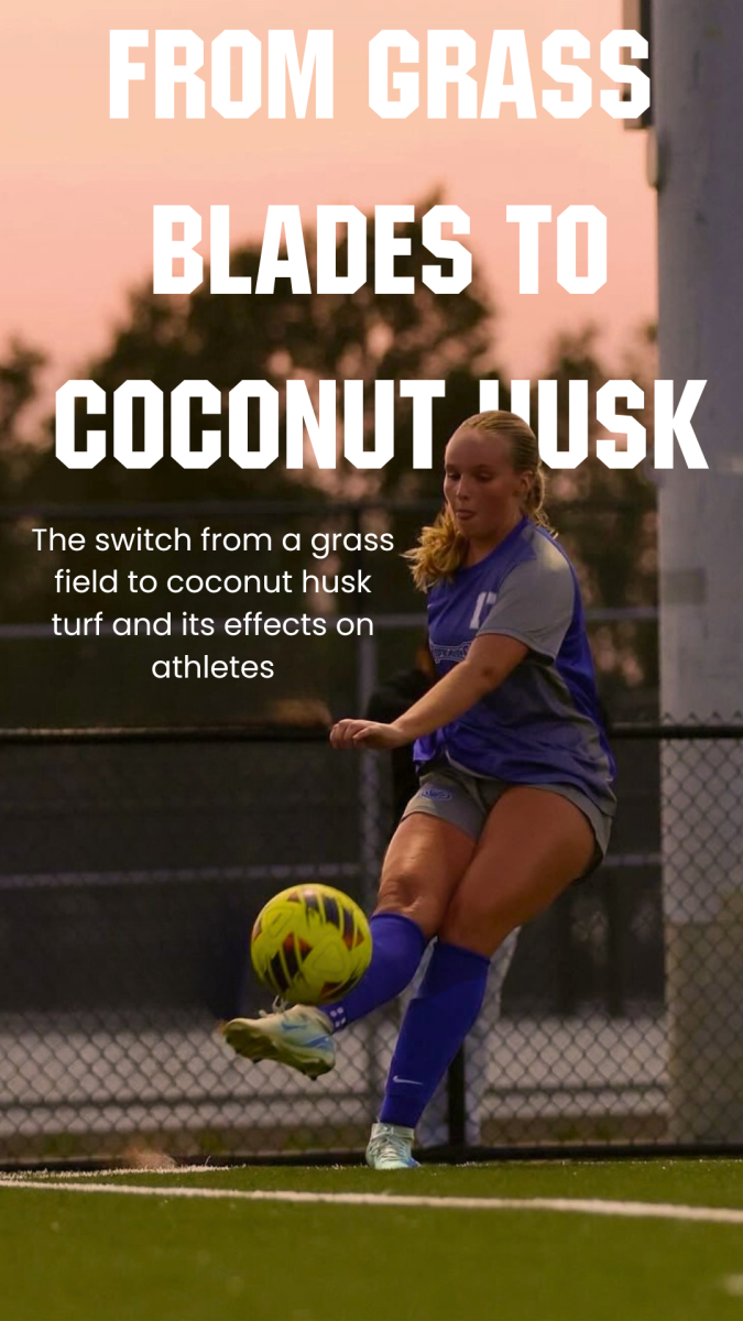 From Grass Blades to Coconut Husk